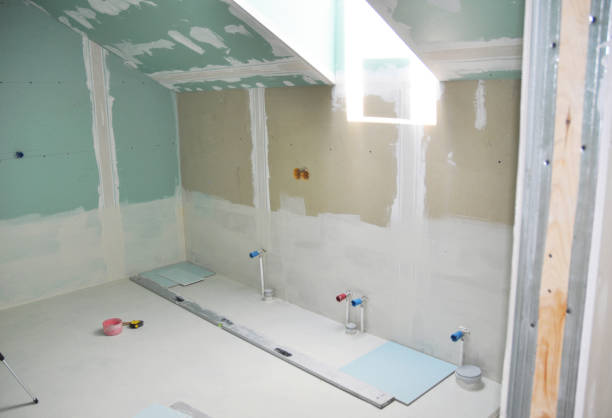 Trusted New Castle, CO Mold Removal Experts