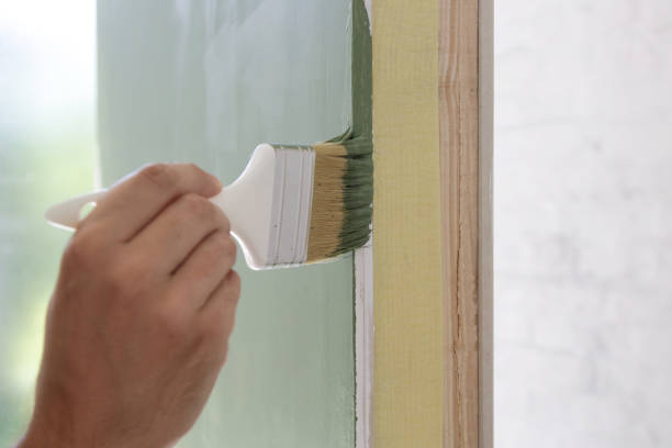  New Castle, CO Mold Removal Pros