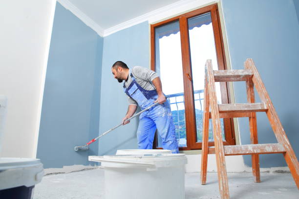 Best Dehumidification Services  in New Castle, CO