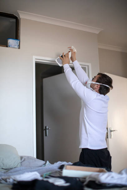 Best Mold Prevention Services  in New Castle, CO