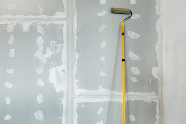 Best Emergency Mold Remediation  in New Castle, CO