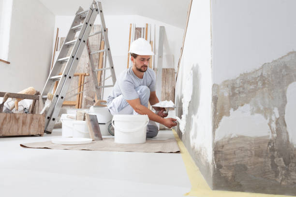 Best Residential Mold Inspection & Testing  in New Castle, CO