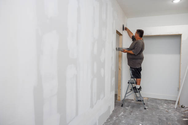 Best Mold Remediation for Rental Properties  in New Castle, CO