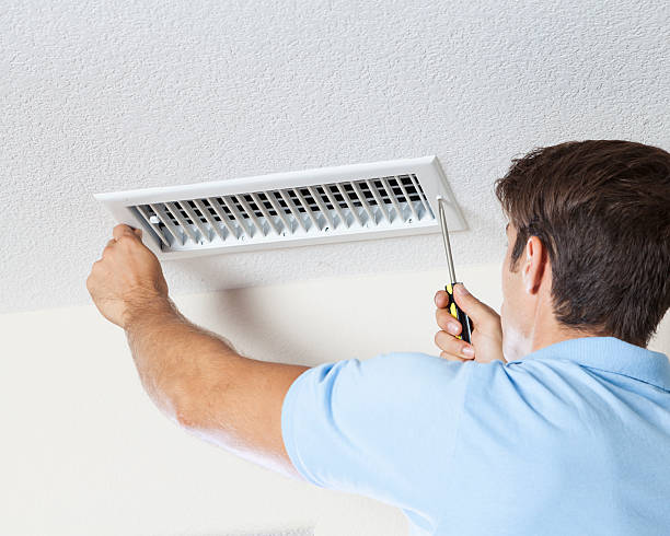 Best Crawl Space Mold Remediation  in New Castle, CO