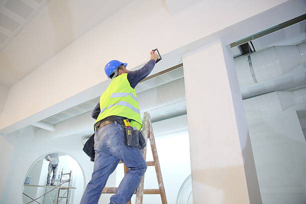 Professional Mold Removal in New Castle, CO